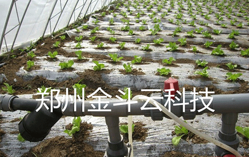 農業香蕉成人A片视频