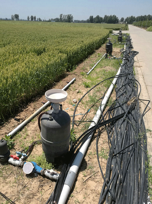 農業香蕉成人A片视频