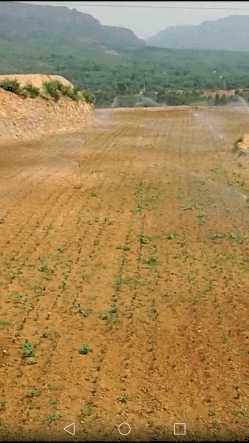 香蕉成人A片视频係統