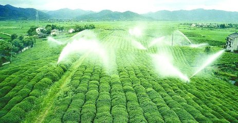 香蕉成人A片视频係統廠家