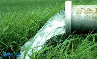 農業香蕉成人A片视频廠家